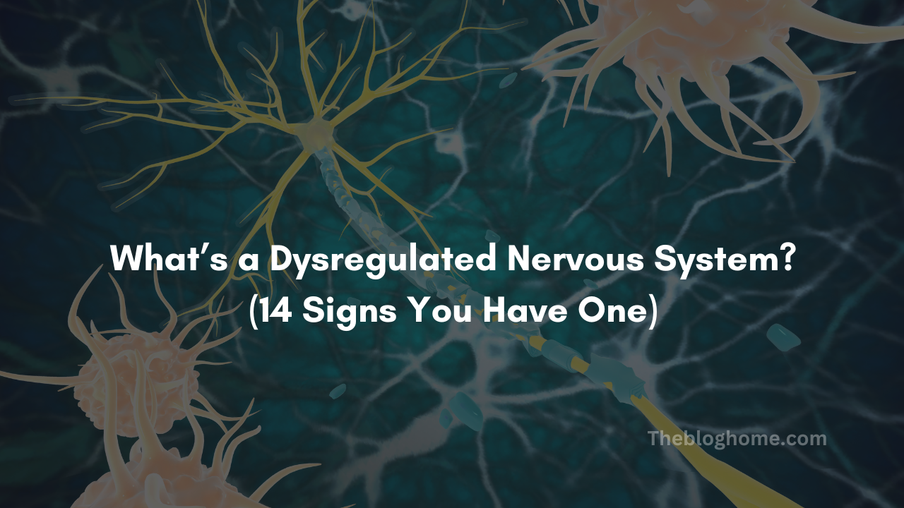 Whats a dysregulated nervous system 14 signs you have one
