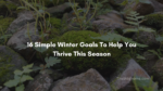 16 simple winter goals to help you thrive this season 150x84