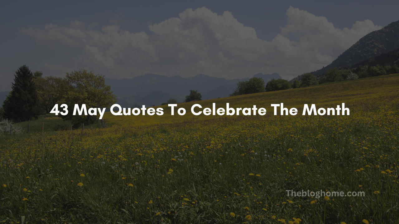 43 may quotes to celebrate the month