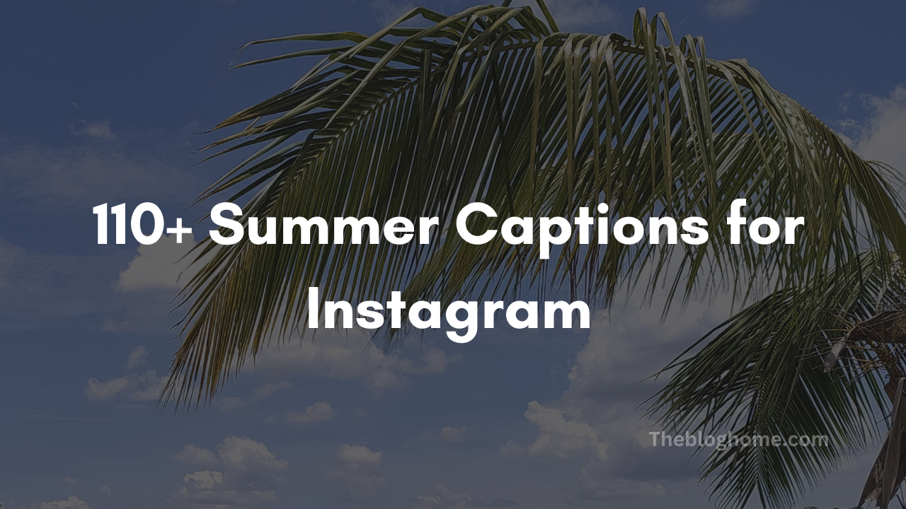 110+ Summer Captions for Instagram