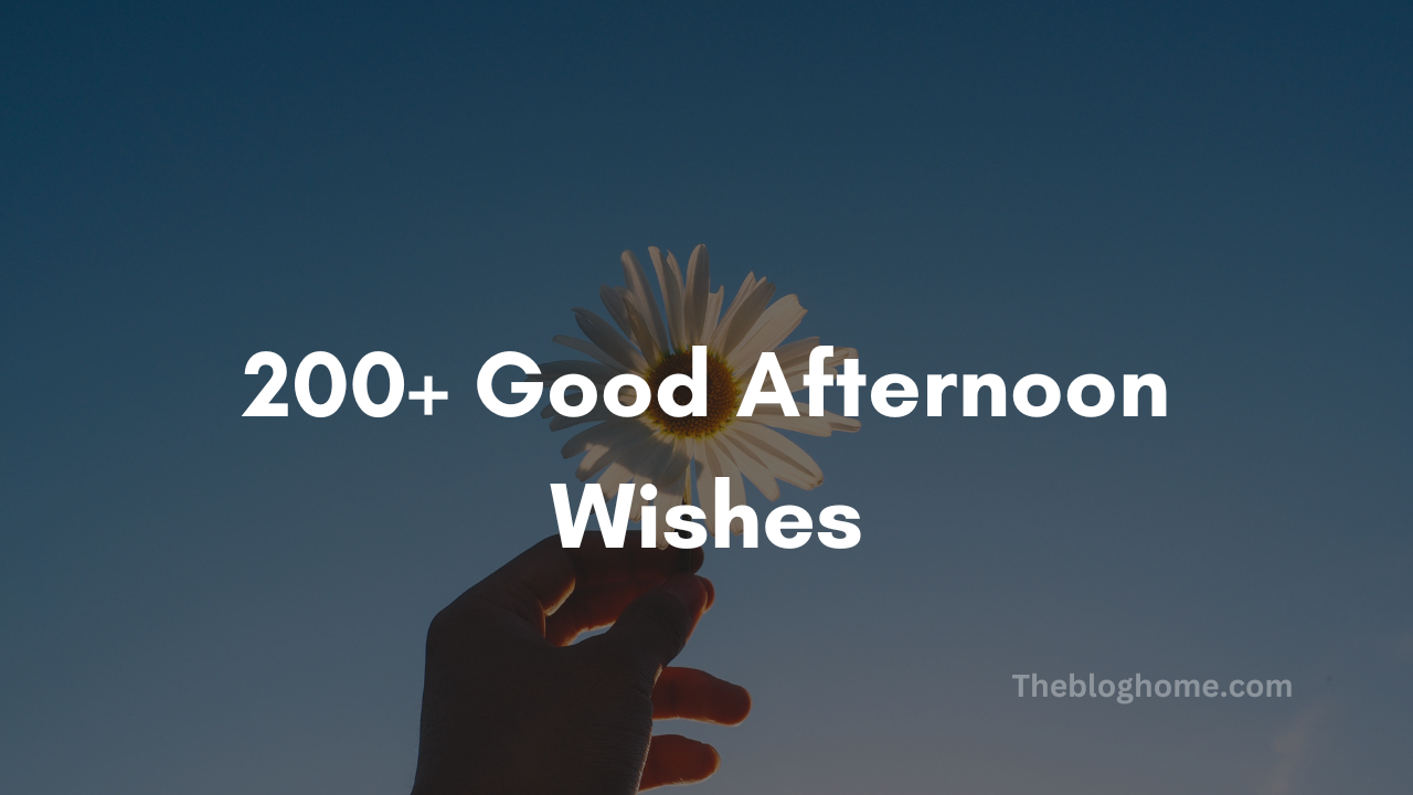200+ Good Afternoon Wishes