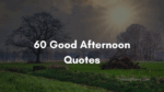 60 Good Afternoon Quotes