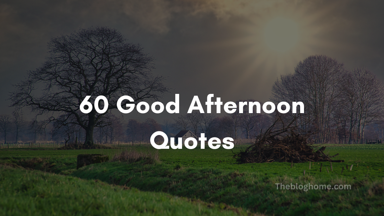 60 Good Afternoon Quotes