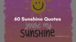 60 Sunshine Quotes