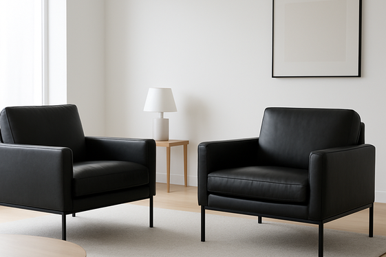 Modern Minimalist Black Leather Seating illustration